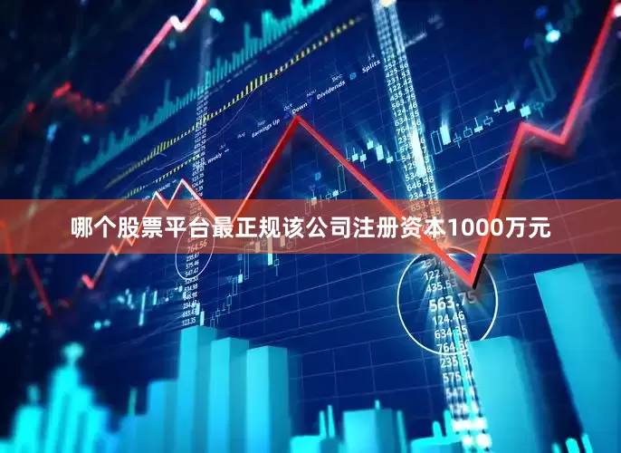 哪个股票平台最正规该公司注册资本1000万元