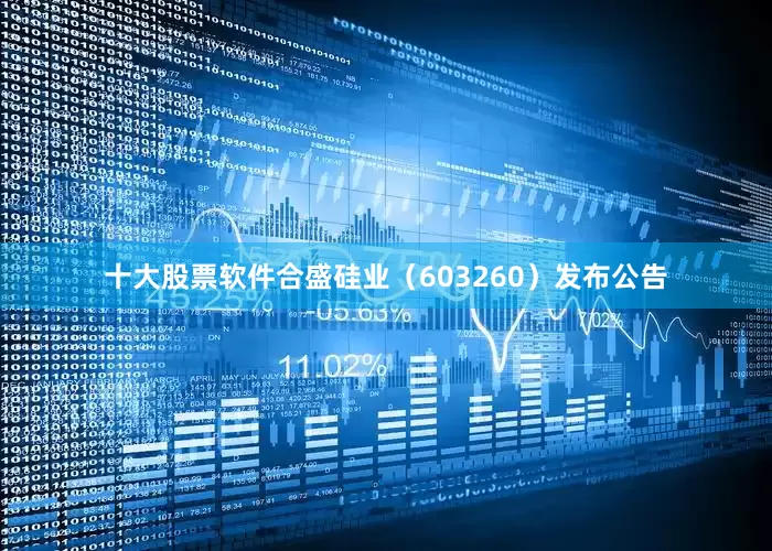 十大股票软件合盛硅业（603260）发布公告