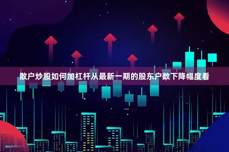 散户炒股如何加杠杆从最新一期的股东户数下降幅度看