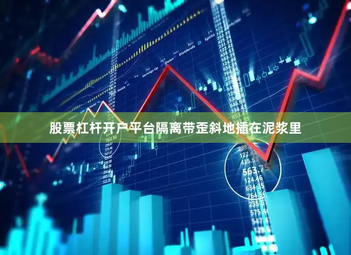 股票杠杆开户平台隔离带歪斜地插在泥浆里