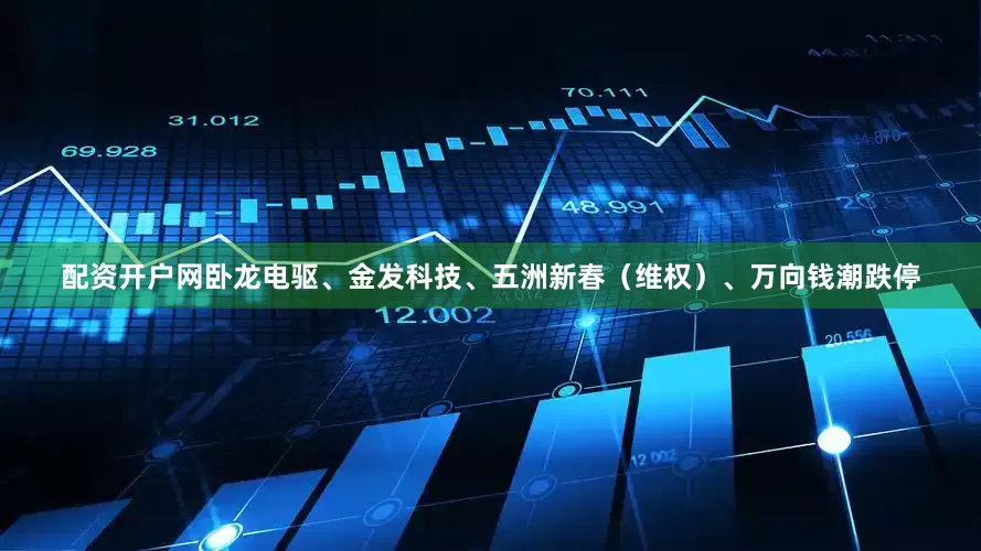 配资开户网卧龙电驱、金发科技、五洲新春（维权）、万向钱潮跌停